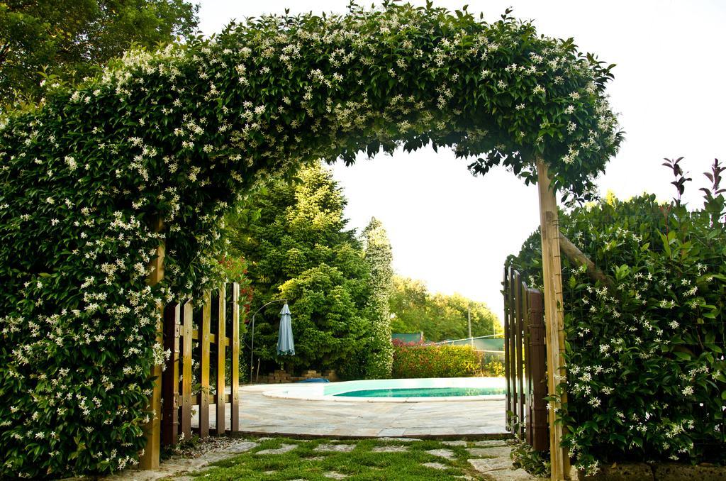 Bed and Breakfast La Coccinella Jesi Esterno foto